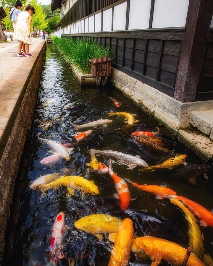 Foto Japanische Lebensart